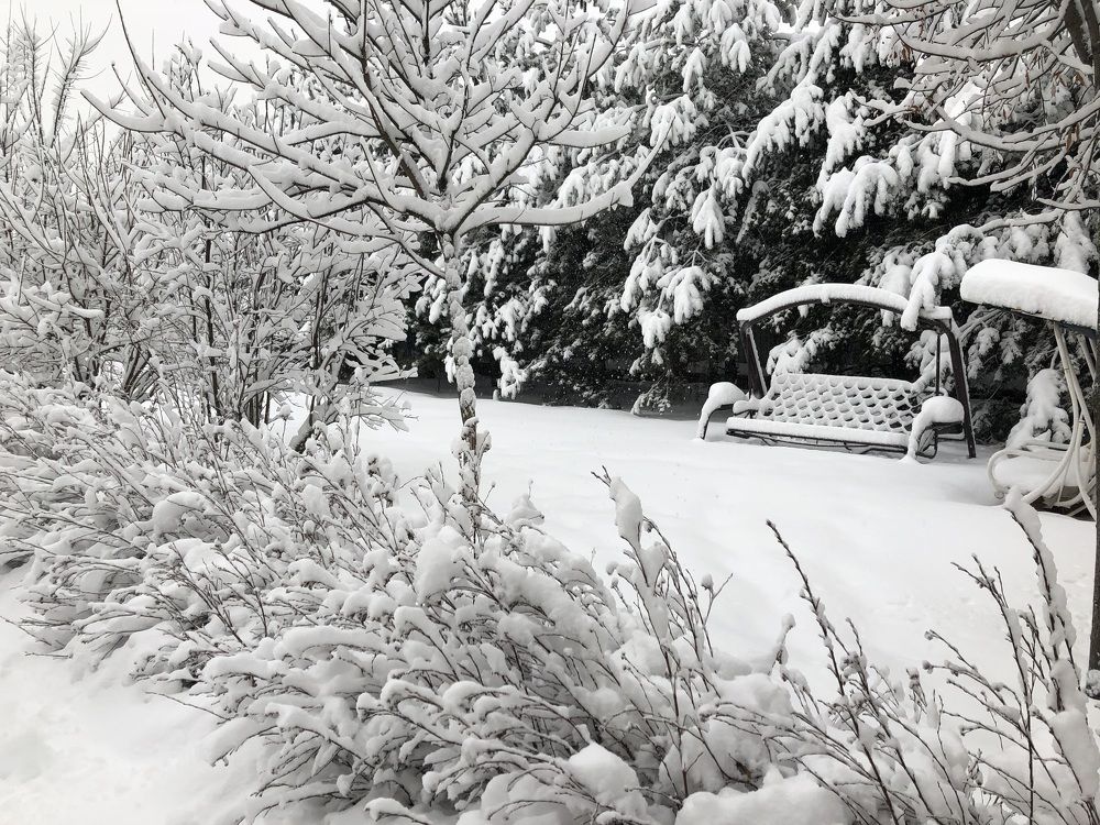 Photograph by Оксана Абакумова