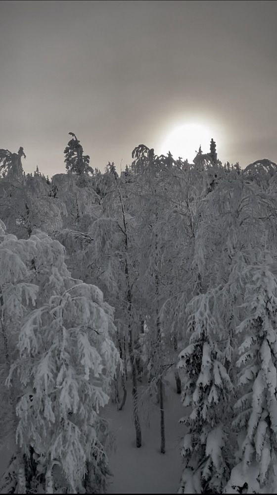 Photograph by Оксана Абакумова