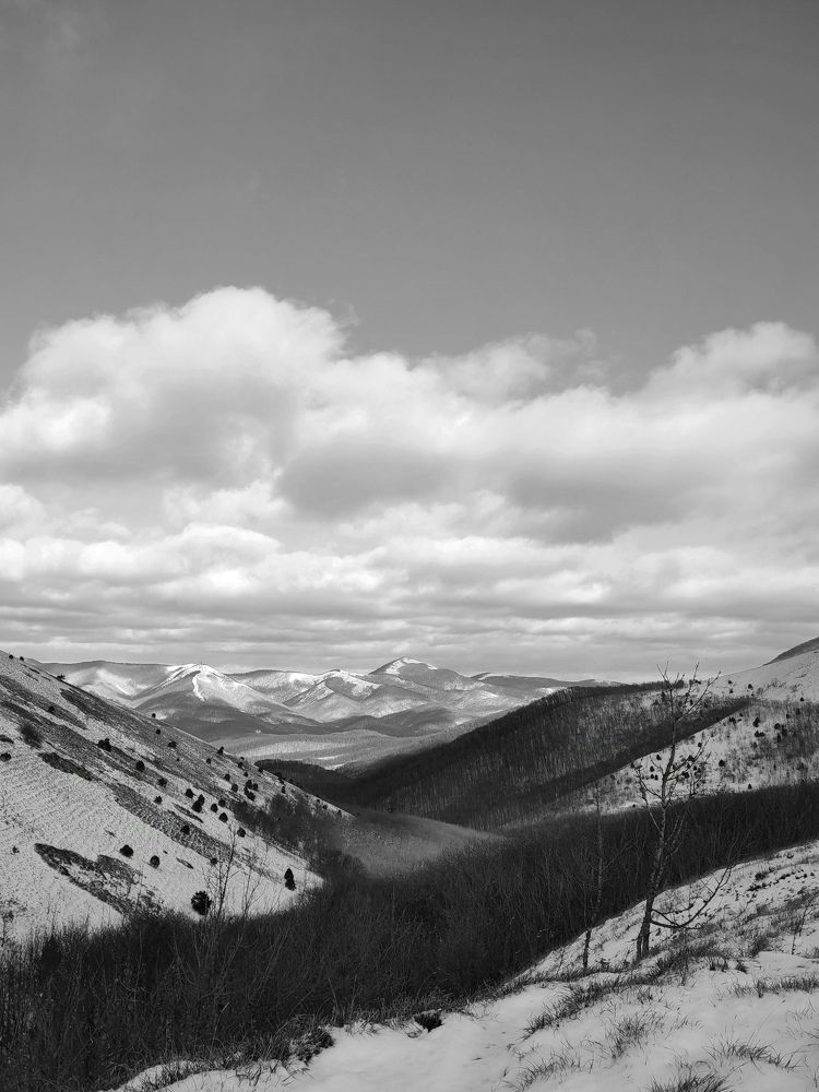 Photograph by Татьяна Долгушева