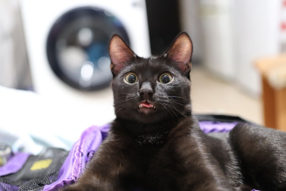 Photograph by Даулет