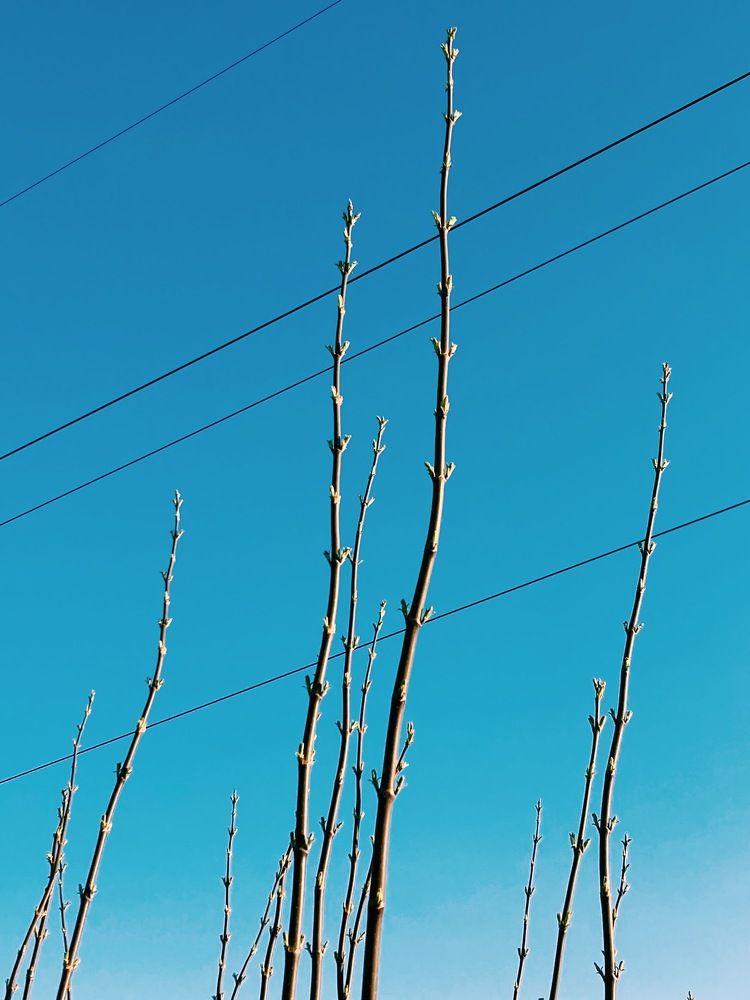 Photograph by Минченко Пётр