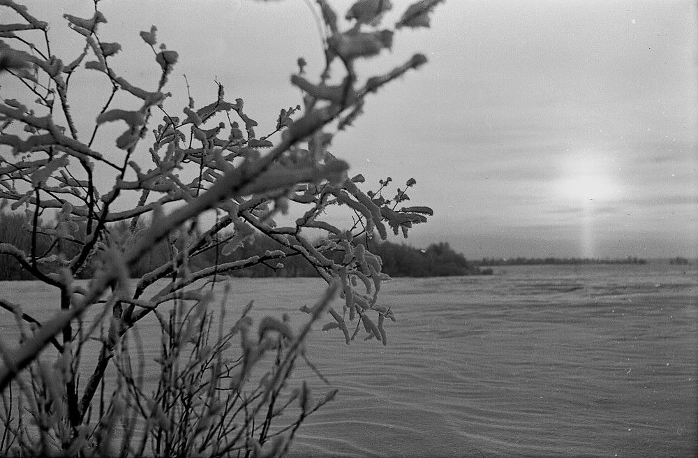 Photograph by Владимир Малёшин