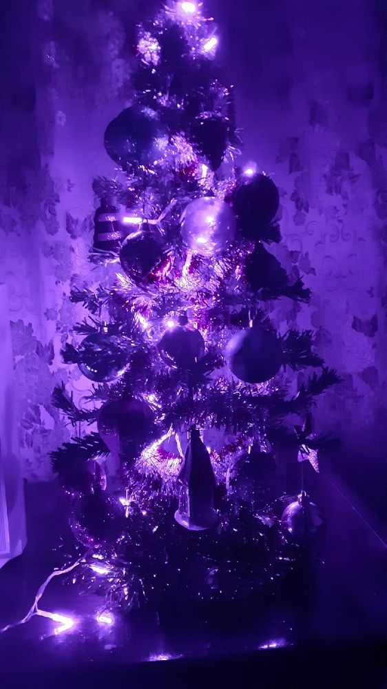 Фотография автора Елена Лещева