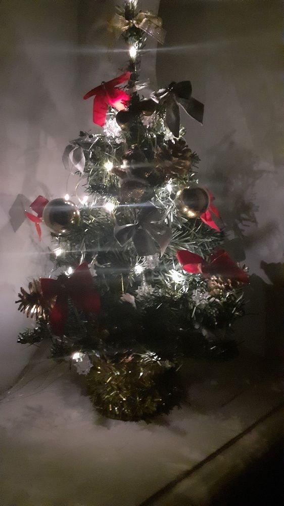 Фотография автора Елена Лещева