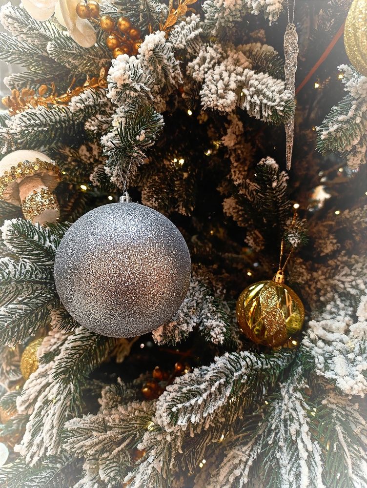 Фотография автора Светлана Таркан