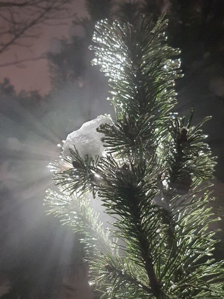 Photograph by Максим Вдовиченко