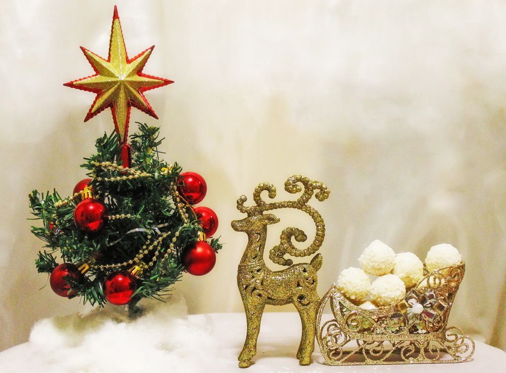 Фотография автора Алла Бойко