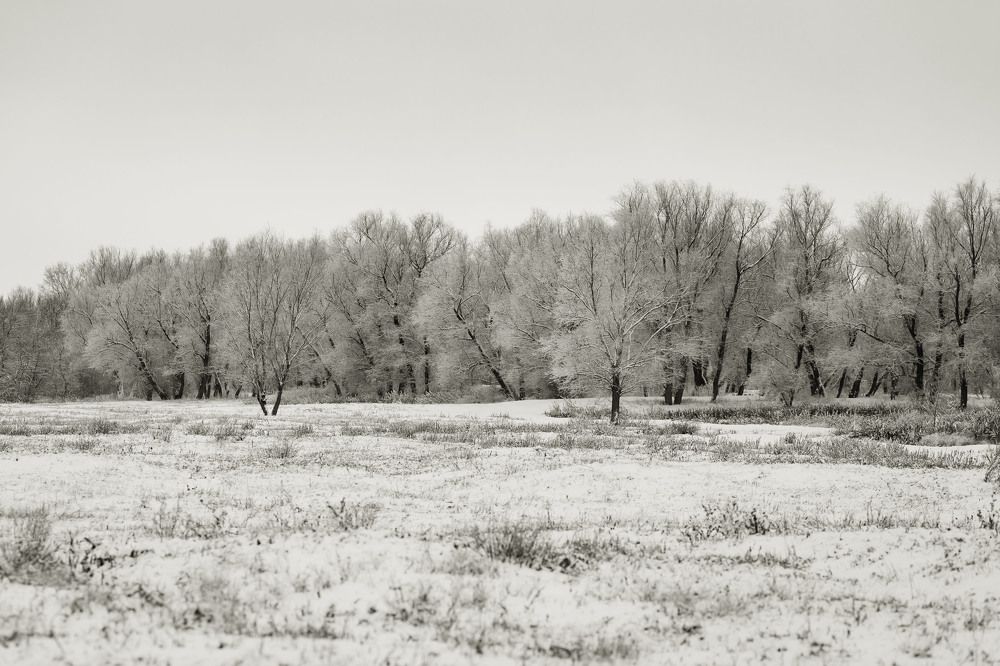 Photograph by Олег Дорошенко