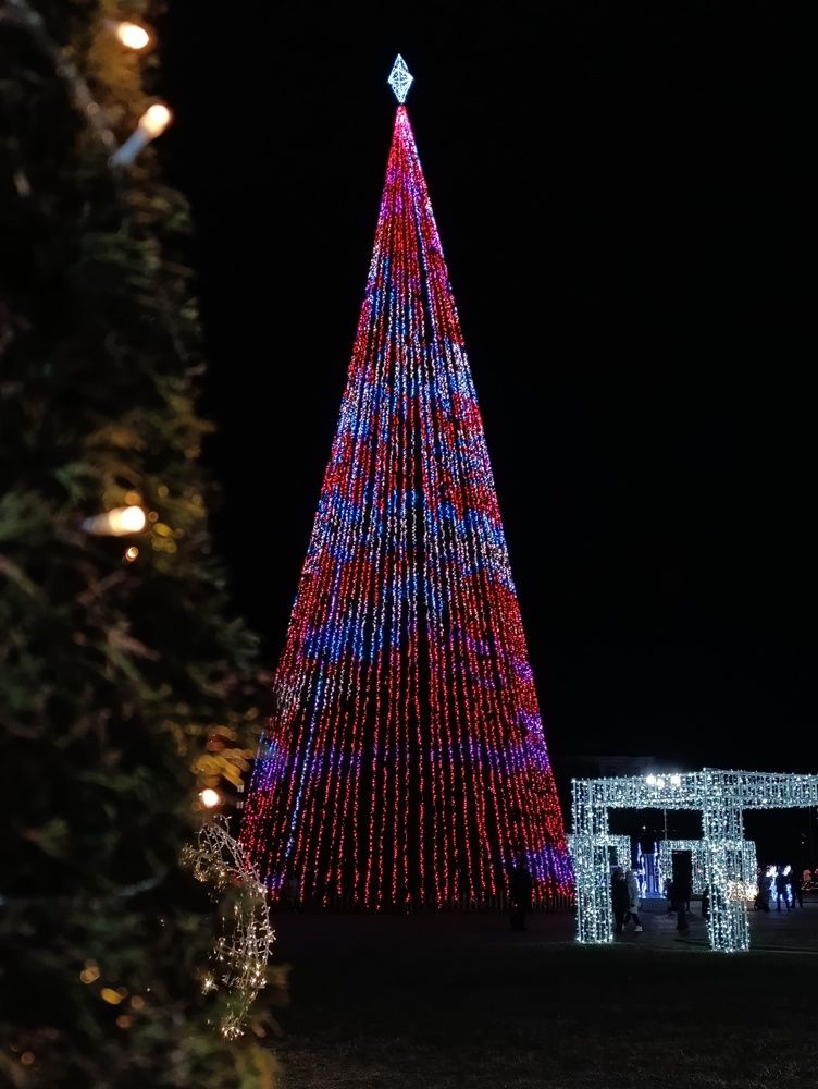 Фотография автора Светлана Таркан