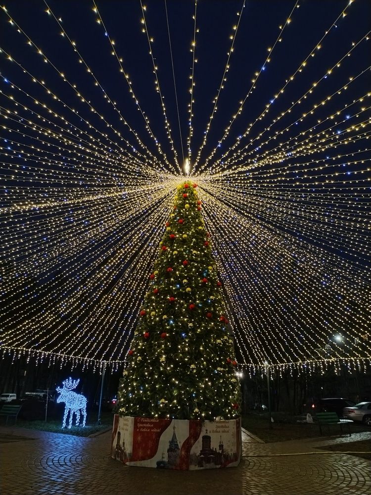 Фотография автора Юлия Ю.