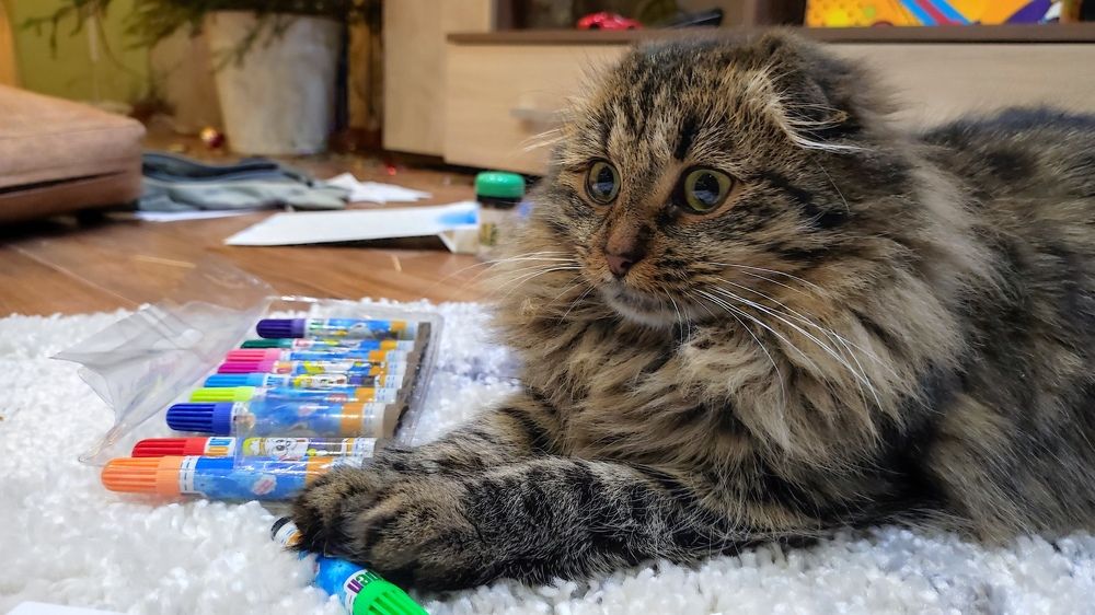 Фотография автора Марина Артемьева