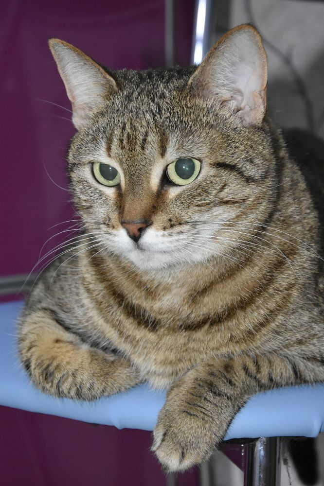 Фотография автора Юлия Ю.