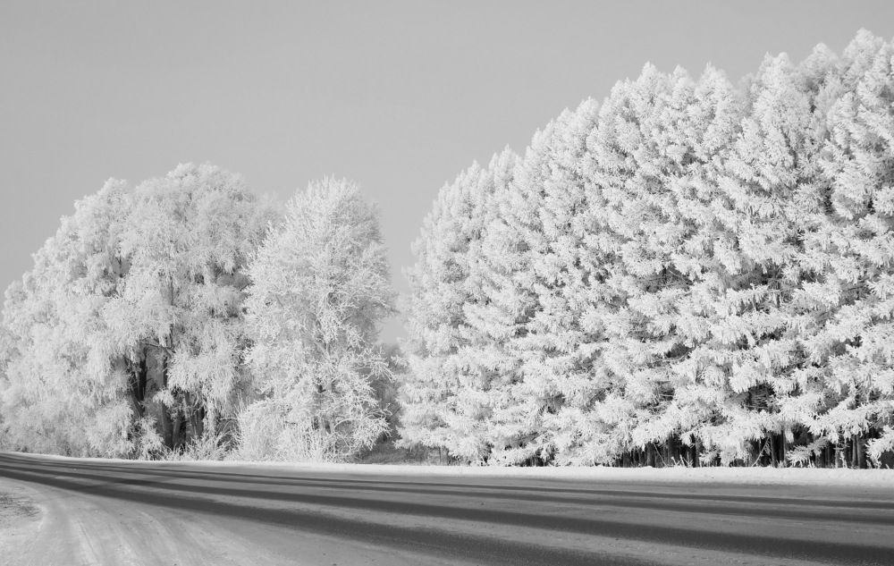 Photograph by Василий Быстрицкий