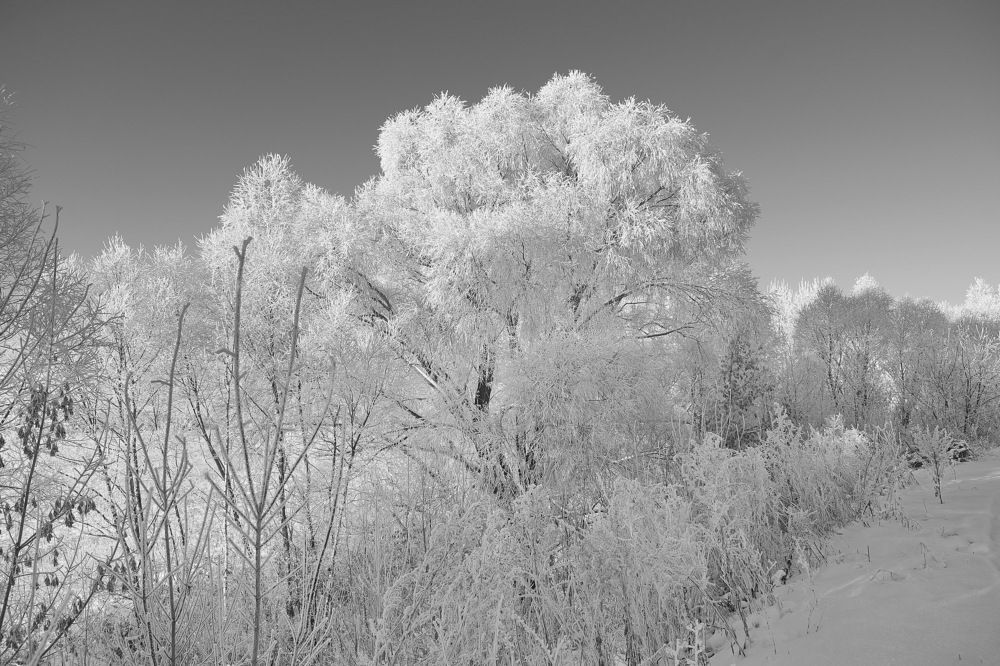 Photograph by Василий Быстрицкий