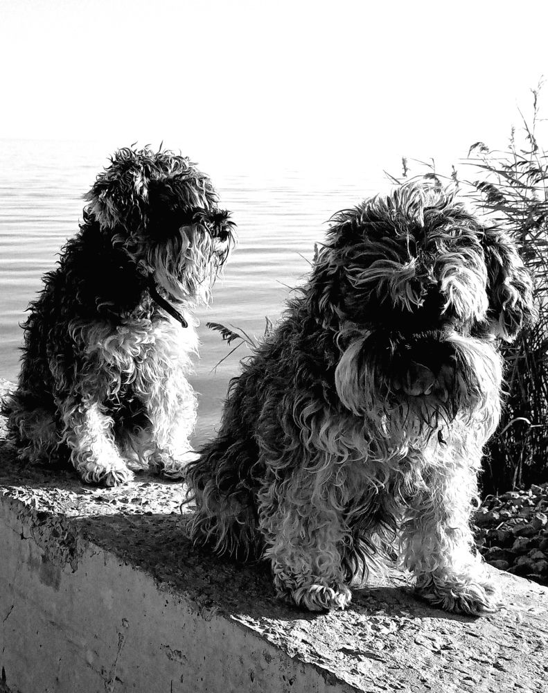 Photograph by Светлана Зубанова