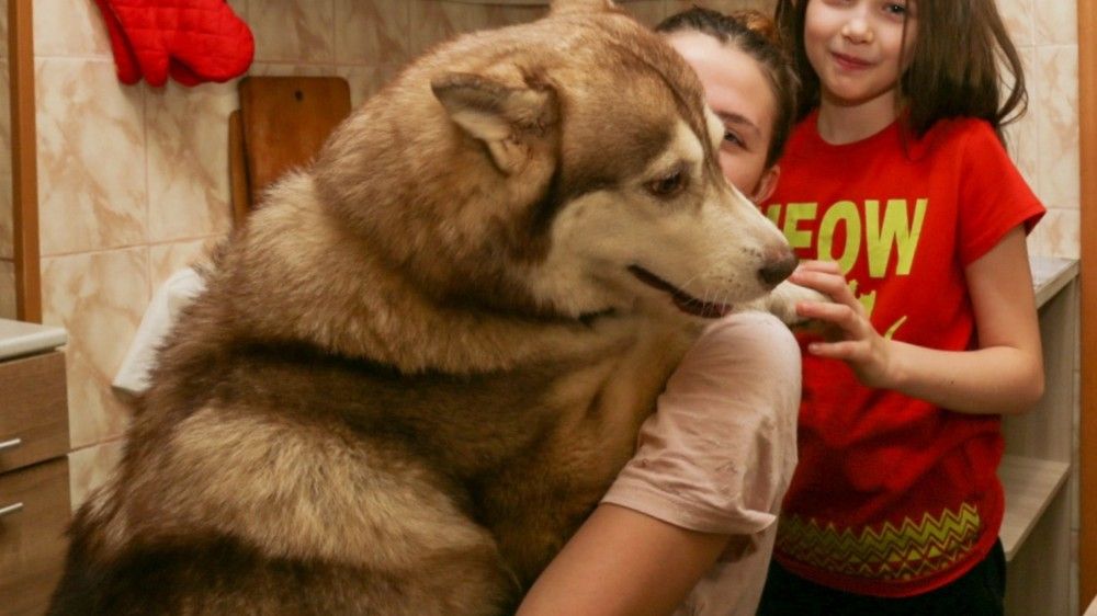 Фотография автора Сергей Яковлев