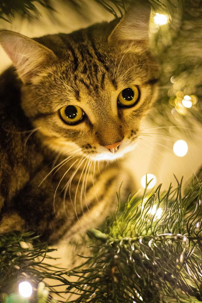 Фотография автора Ксения Золотарь