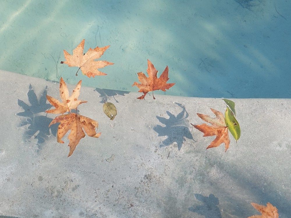 Photograph by reyhaneh zeidabadi nezhad