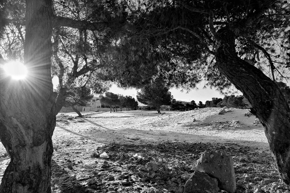 Photograph by Azzeddine Memmou