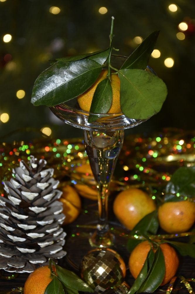 Фотография автора Юлия Ю.