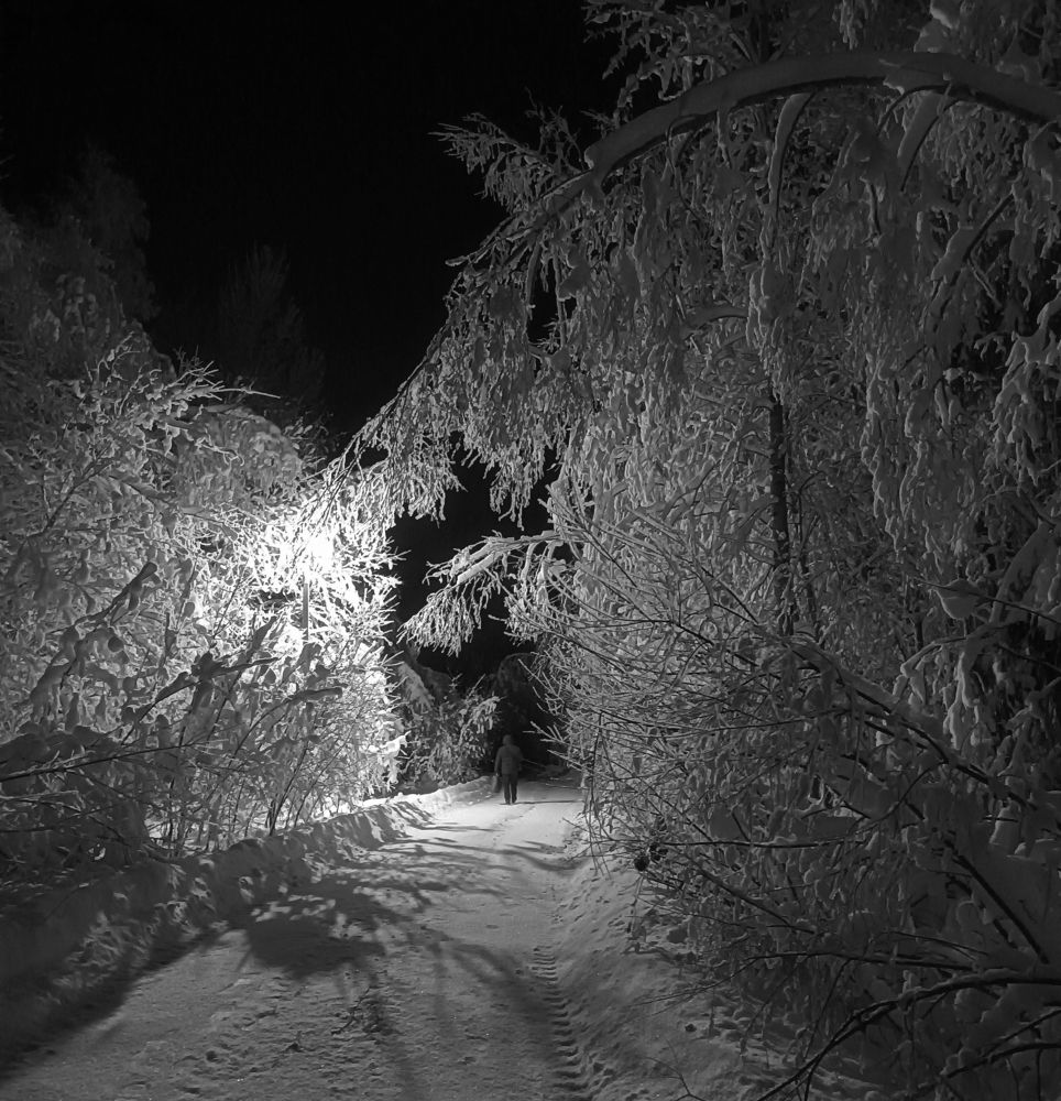 Фотография автора Алла Бойко