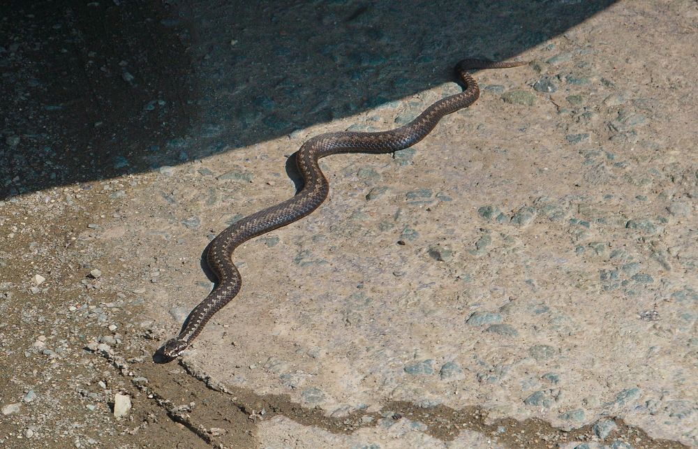 Photograph by Василий Быстрицкий