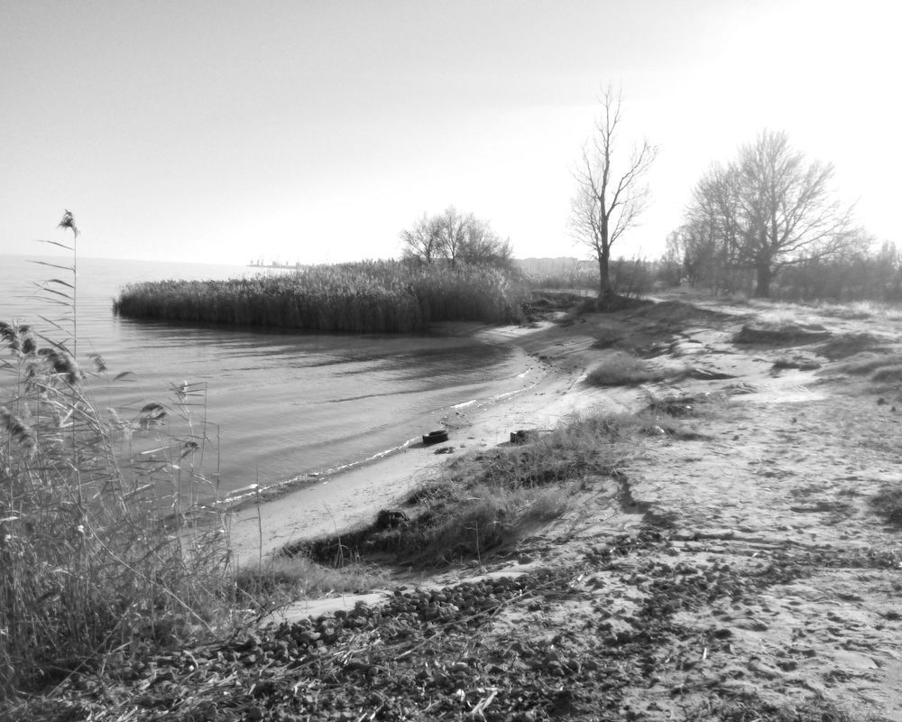 Photograph by Светлана Зубанова