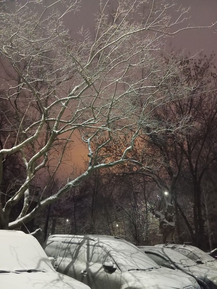 Photograph by Оксана