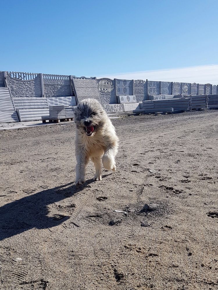 Photograph by Robert Suditu