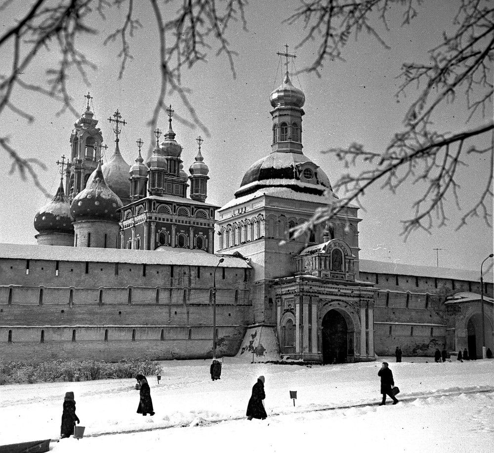 Photograph by Владимир Малёшин