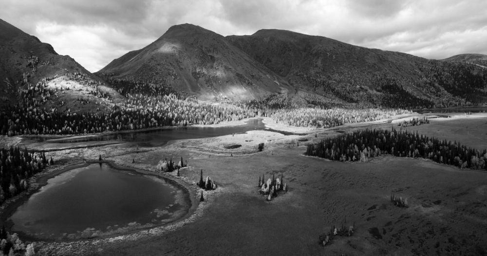 Фотография автора Elena Sh