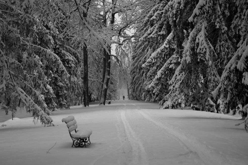 Photograph by Елена Николаева