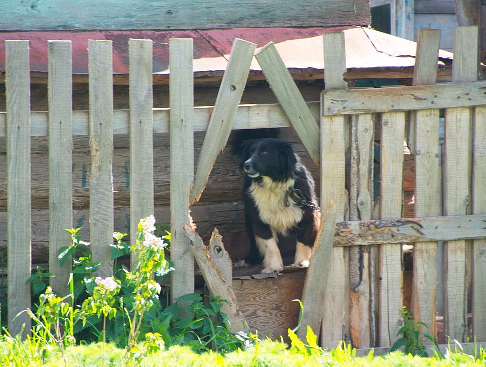 Photograph by Василий Быстрицкий