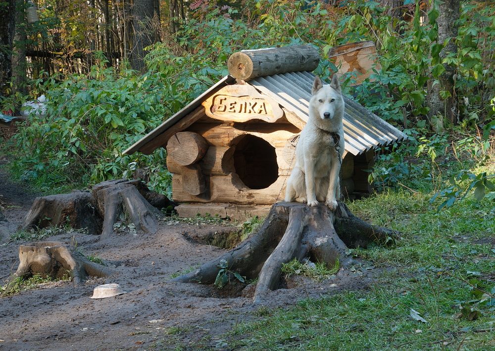 Photograph by Василий Быстрицкий