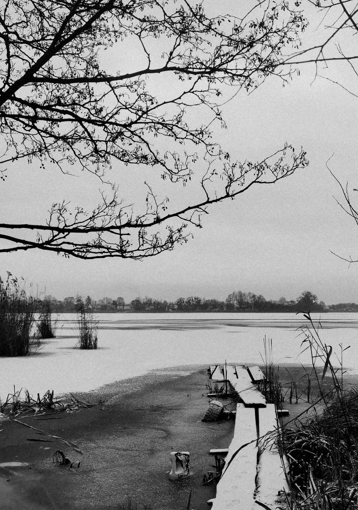 Photograph by Янина Найденцева