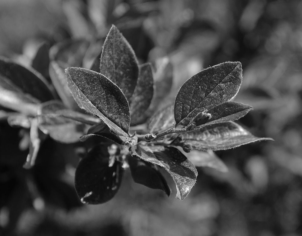 Photograph by Plohov Sergei