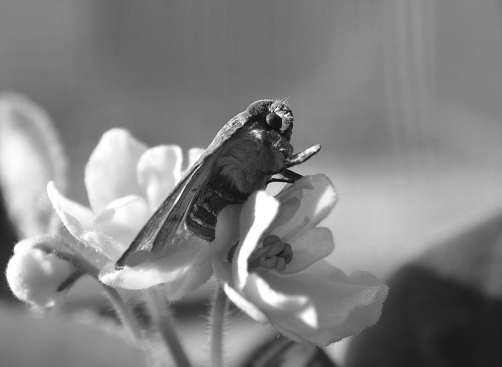 Photograph by Plohov Sergei