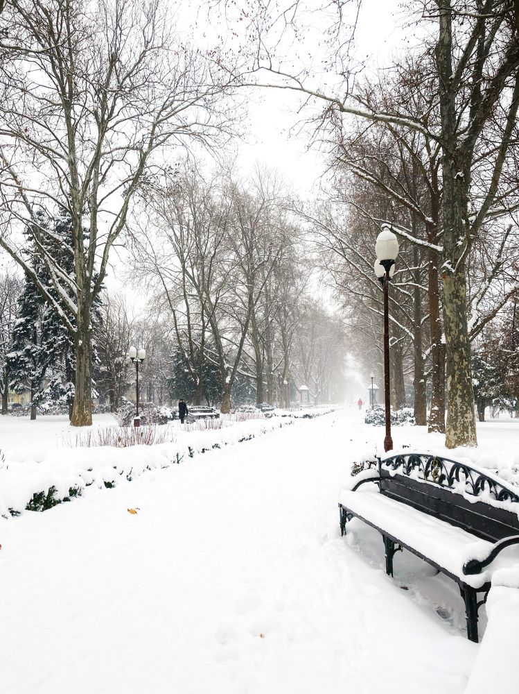 Александровский бульвар