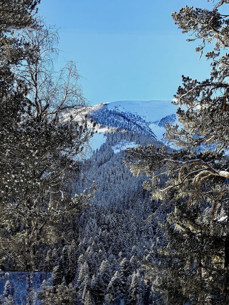 Photograph by Оксана Абакумова