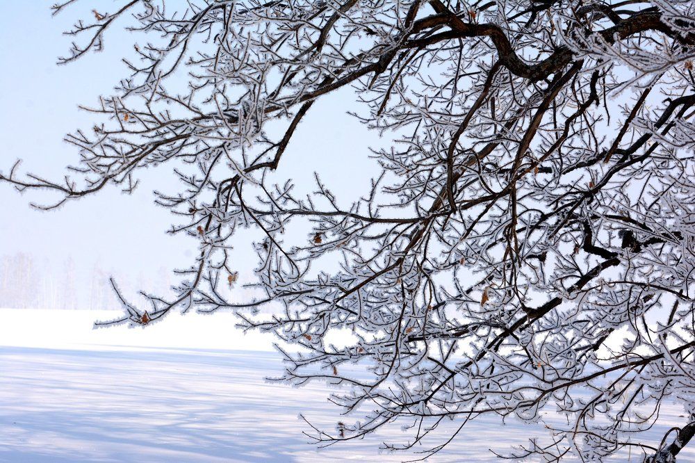 зимние узоры