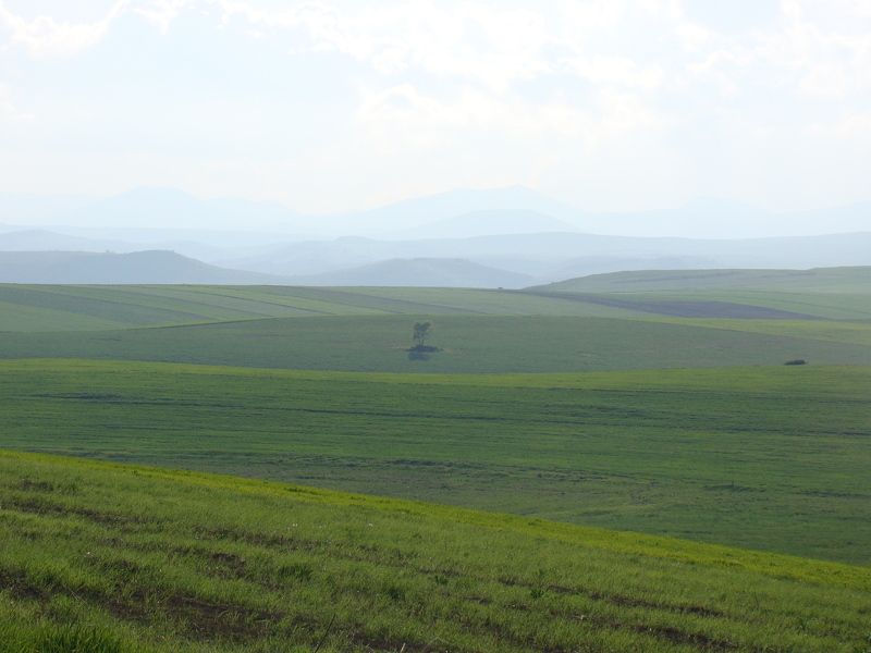 David, Armenia