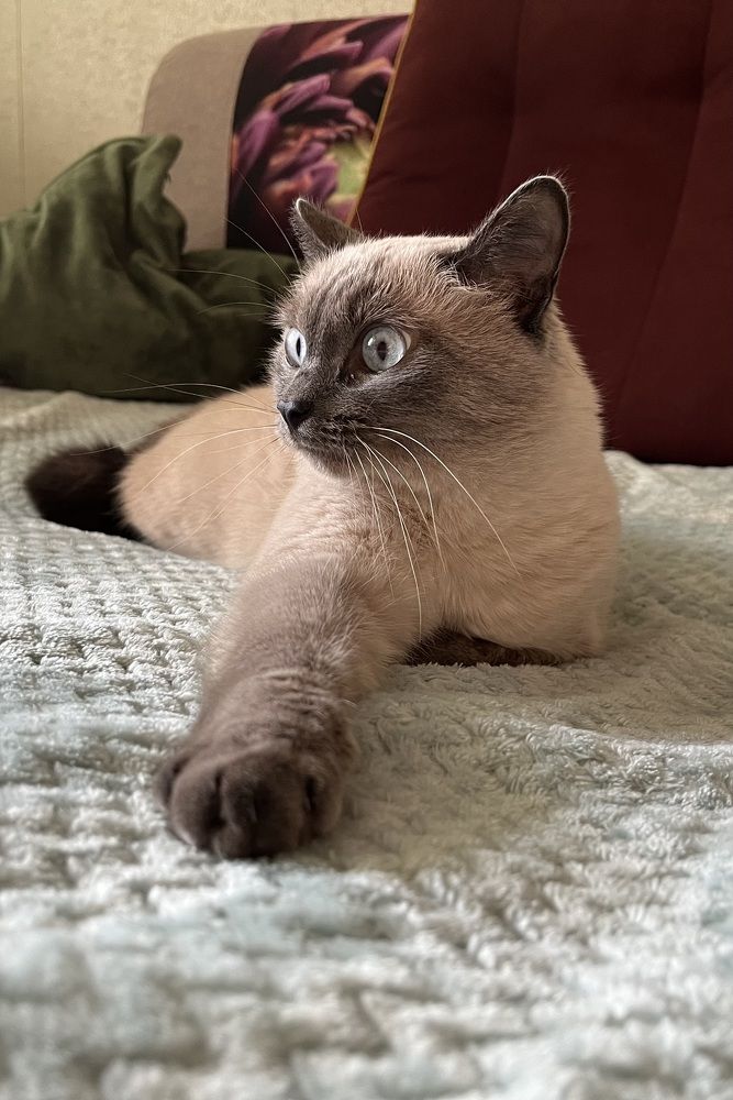 Photograph by Наталья Пасечко