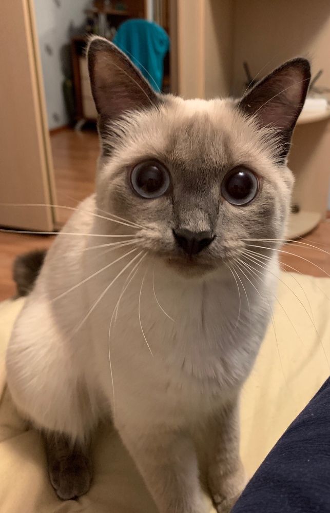 Photograph by Наталья Пасечко