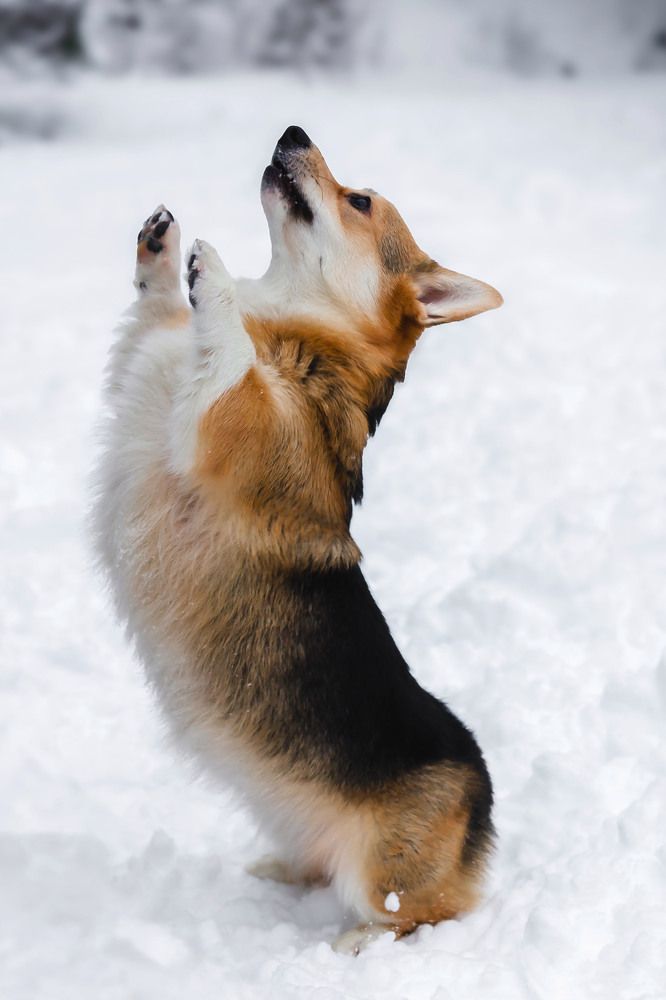 Photograph by Андрей Редьков