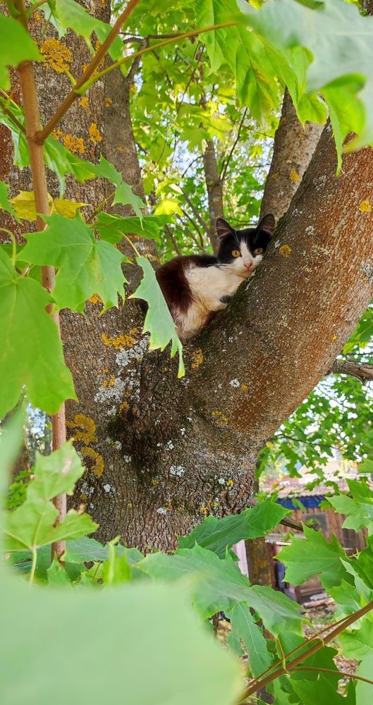 Фотография автора Марина Артемьева