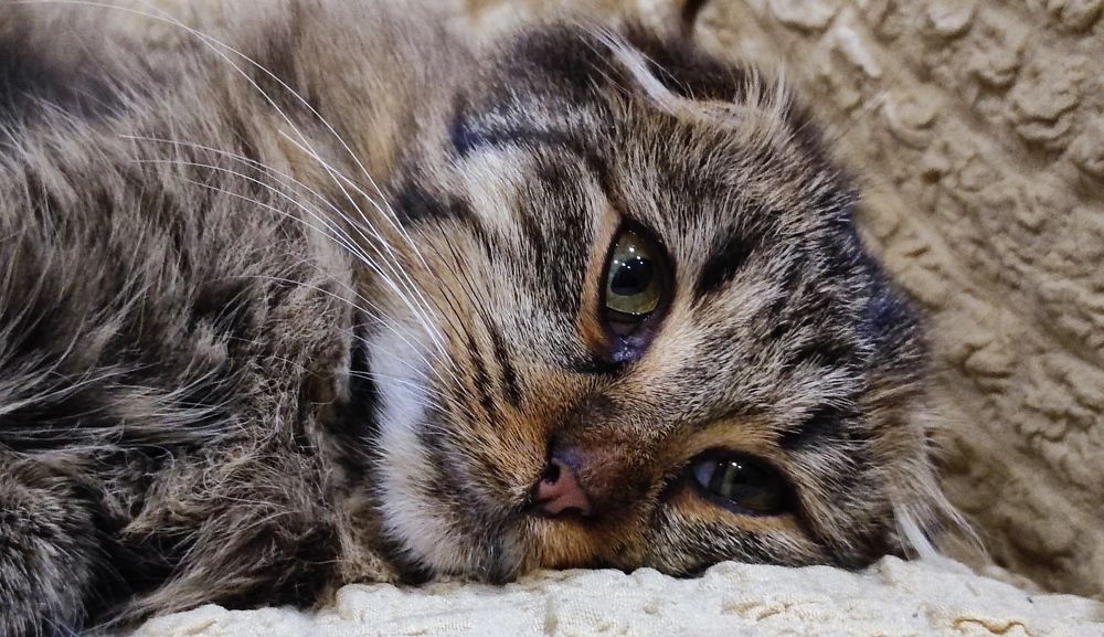 Фотография автора Марина Артемьева