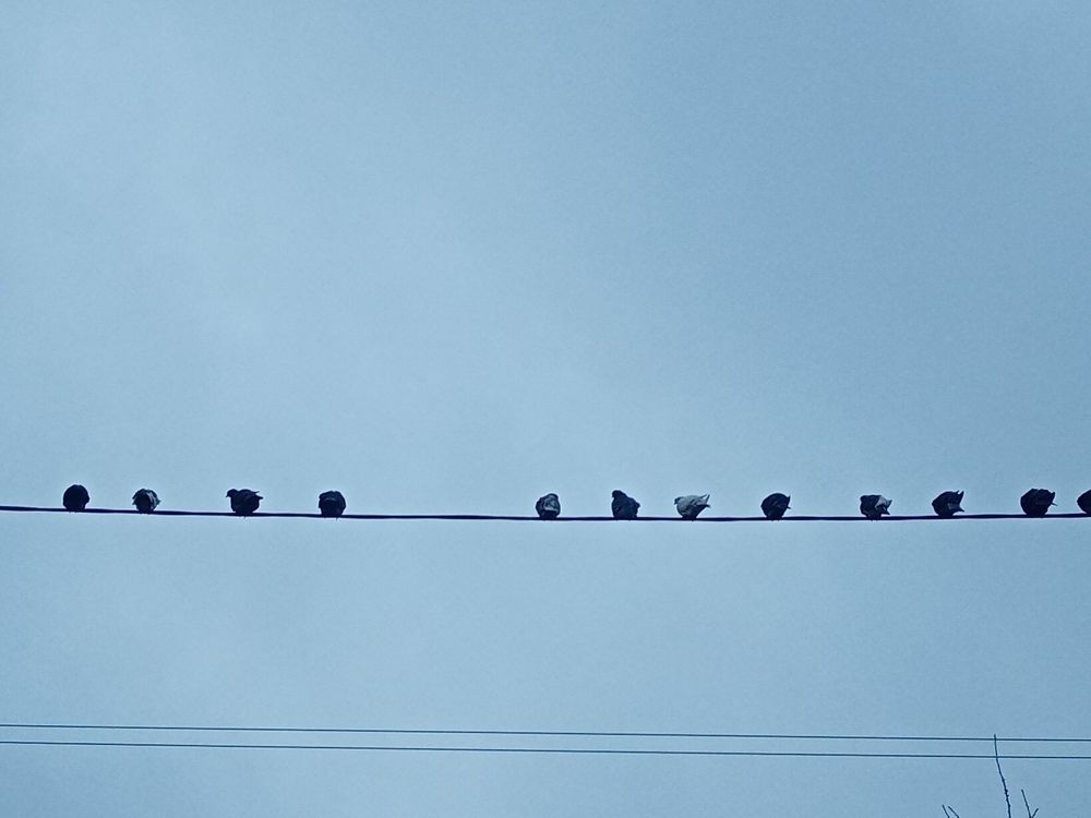 Photograph by Светлана Зубанова