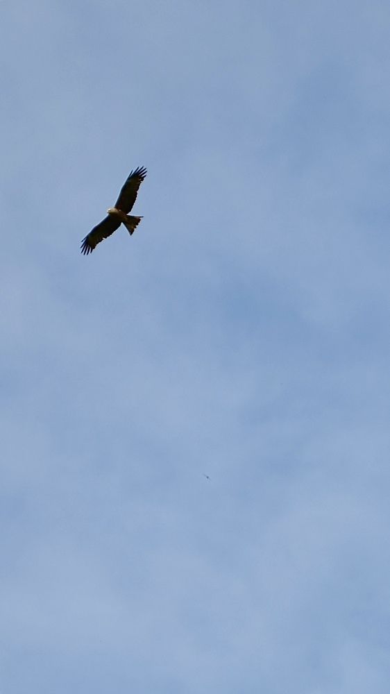 Photograph by Михаил Сорокин