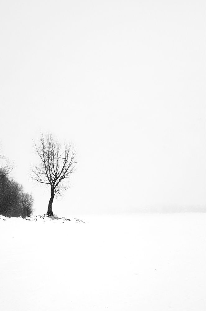 Photograph by Anastasia Anikina