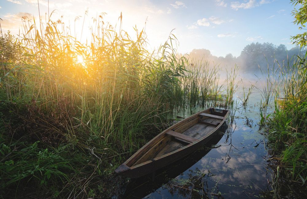 Photograph by Банников Глеб